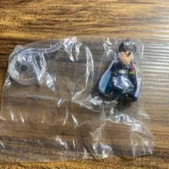 ONE PIECE ワンピの実 シリュウ 黒ひげ海賊団