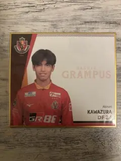 Item thumbnail for item 65fa6250-06b1-4df3-8fb9-443f0503cc0f