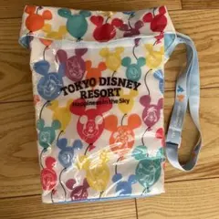 東京ディズニーリゾート ポップコーンバケット