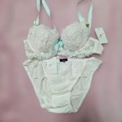 花柄刺繍ブラジャーショーツセット