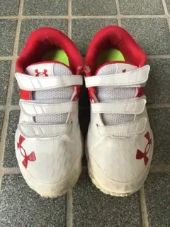 Item thumbnail for item 08a5064d-1e0b-41e5-aaa4-31463e27302f