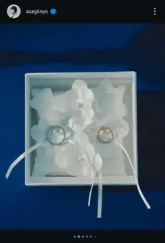 【美品】Ponte Vecchio リングピロー　あさぎーにょ