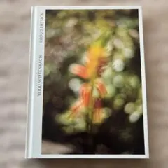 Terri Weifenbach 写真集 STILLL 500部限定版 - メルカリ