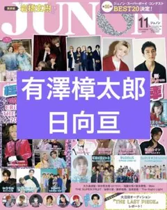 <レア物あり> 日向亘 まとめ売り 2025年最新】日向 亘の人気アイテム - メルカリ