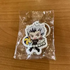 ハイキュー　木兎光太郎 くら寿司　めじるしチャーム　宮治 缶バッジ