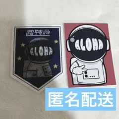 超特急 アロハ ステッカー