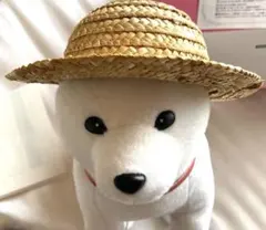 しゃべって歩く　麦わらお父さん