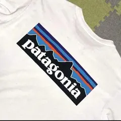 売り切り★Patagonia★ブランドロゴ★ロンT★ホワイト★M★両面プリントのサムネイル