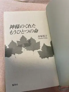 神様のくれたもうひとつの命