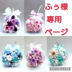 ふぅ様専用ページ　ブッダナッツ　オーダー分