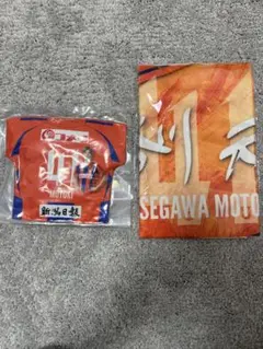 新潟アルビレックス 長谷川元希 まとめ売り