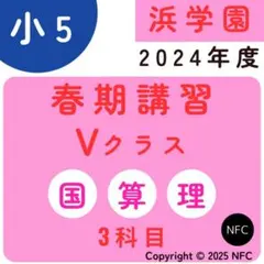 2026年最新】浜学園Vクラス復習テストの人気アイテム - メルカリ