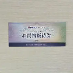 ヤマダ電機 株主優待 5,000円分