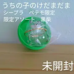 【未開封・限定アソート】うちの子のけだまだま　黒柴　＃C−pla ペテモ限定