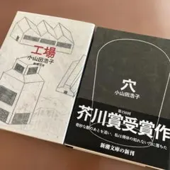 小山田浩子「穴」「工場」