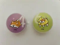 フルプルクリーム 柴犬 4月 6月 2個セット