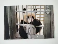 ふくきょう様 リクエスト 3点 まとめ商品