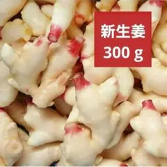 小さめ 新生姜 300g 高知県産 常温発送のサムネイル