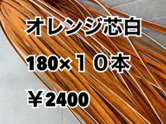 グラブレース　オレンジ芯白　180cm×１０本