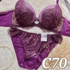 №1537【C70】アイラッシュホールレース育乳脇高ブラジャー＆ショーツ