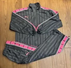 PUMA ジャージ セットアップ ピンク　M
