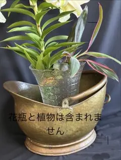 KARE ワインクーラー 鹿 シルバー 家具 希少品 廃盤 オブジェ - メルカリ