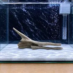 水槽用流木　No_110のサムネイル