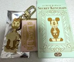 ディズニーストア　イクスピアリ店周年限定商品　シークレットキーチェーン デイジー
