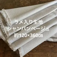 Item thumbnail for item e15ae153-bbf7-49db-8f1d-4972071c39e7