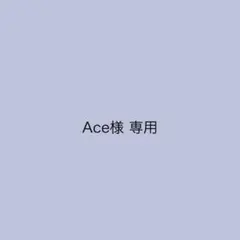 Ace様 リクエスト 2点 まとめ商品