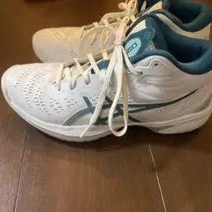 ゲルフープ 24.5