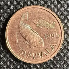 2025年最新】古銭 魚の人気アイテム - メルカリ