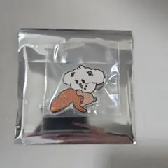 TXT プルバトゥ ご当地バッジ 愛知 ACT:TOMORROW バムグッ