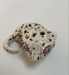 Item thumbnail for item 0543cc76-7aa9-42c4-b4eb-3ff33f0e86f2