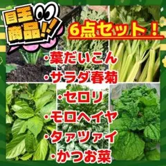 やんだくん様 リクエスト 2点 まとめ商品