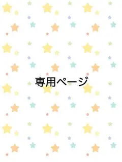 専用ページになります。