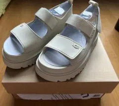 UGG アグ ゴールデングロウ 24cm