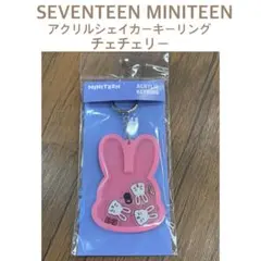 seventeen MINITEEN CHOITCHERRY エスクプス - メルカリ