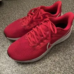 Nike Air Zoom Pegasus 39 レッド　26.0cm