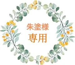 朱塗@無言取引/即購入️⭕️様 リクエスト 3点 まとめ商品