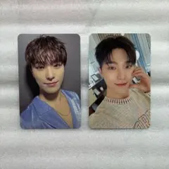 seventeen carat land 2024 トレカ ディノ