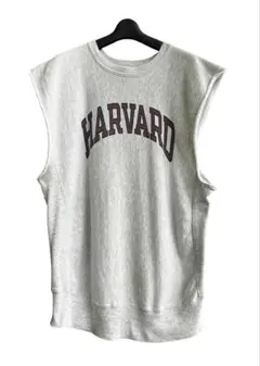 Item thumbnail for item a8e2cfb7-5b6e-45b0-add1-91c2e44e3d06