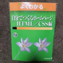 Item thumbnail for item 305fb5f9-0cc3-4a59-9bef-01e033979245