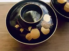 Item thumbnail for item 52446dfc-6e73-4329-829d-73c079e8d76e