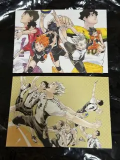 ハイキュー ファンパーク ポストカードセット 木兎 梟谷 2枚