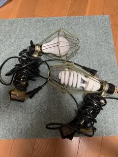蛍光灯クリップ付照明　2個セット　点灯確認