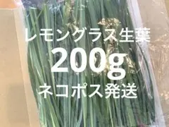 レモングラス 生葉 200gネコポス発送のサムネイル