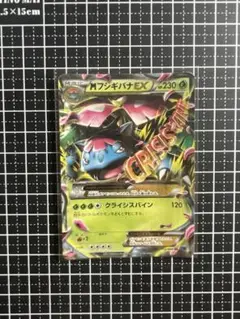 ポケモンカード MフシギバナEX XY1 002/060