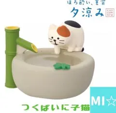 デコレ　concombre つくばいに子猫のサムネイル