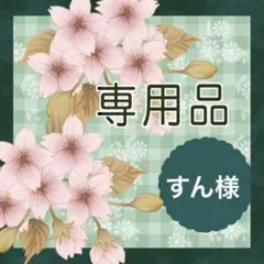 すんのけし様セット